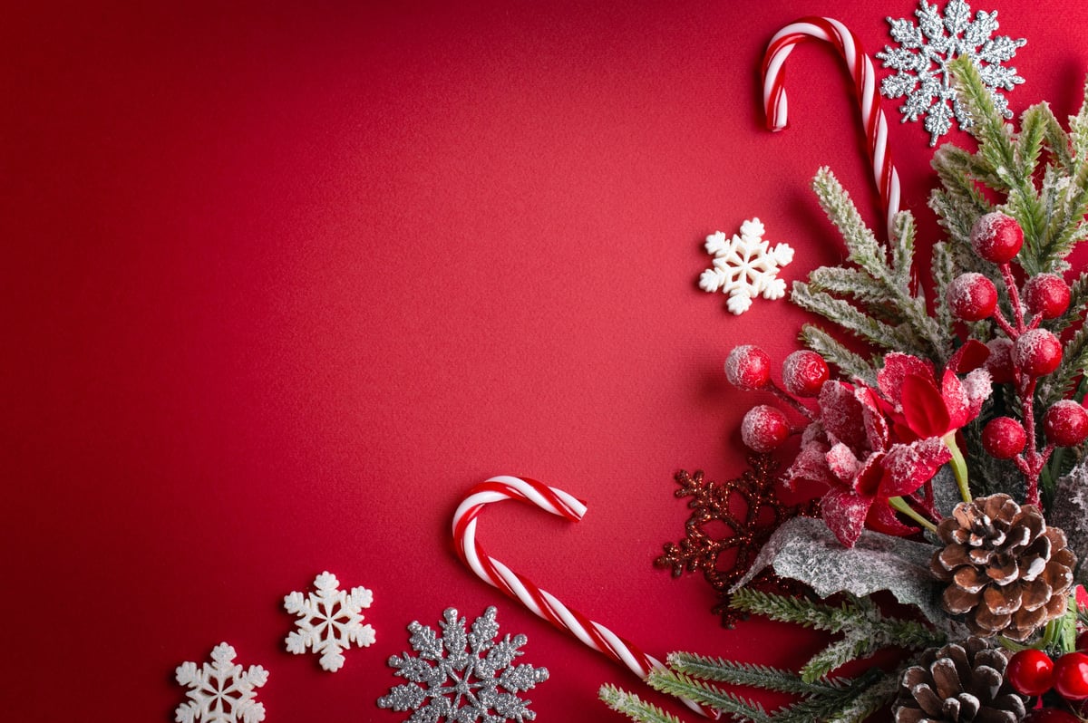 Christmas red background with decorative poinsettia, fir branch and snowflakes, candy canes and cones for tree decoraton
